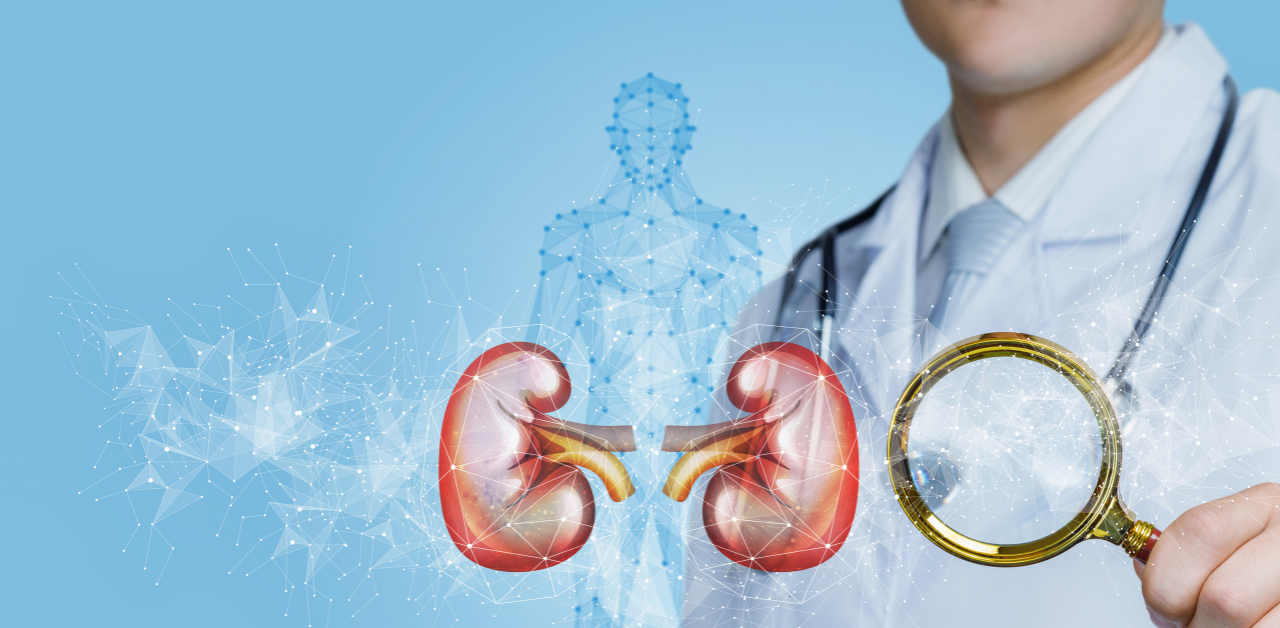 FDA Approves FILSPARI to Aid Kidney Health in IgA Nephropathy on February 2023