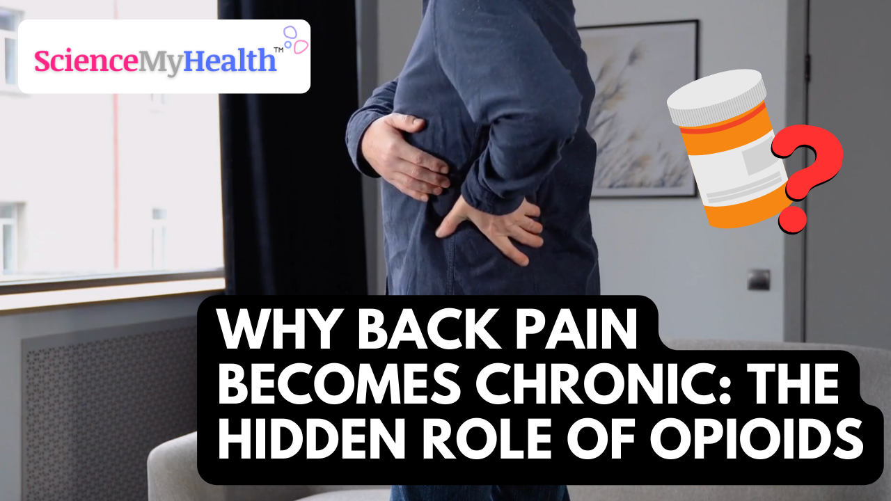 Why Back Pain Becomes Chronic: The Hidden Role of Opioids
