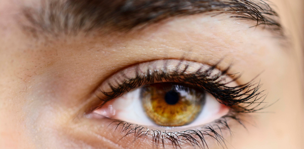 FDA Approves XDEMVY for Treating Demodex Blepharitis on July 25, 2023